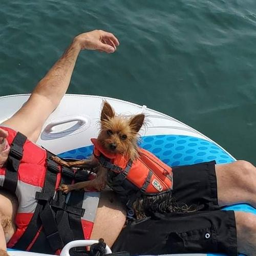 Jack in an orange life jacket on a boat